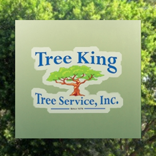 Avatar for Tree King Tree Service